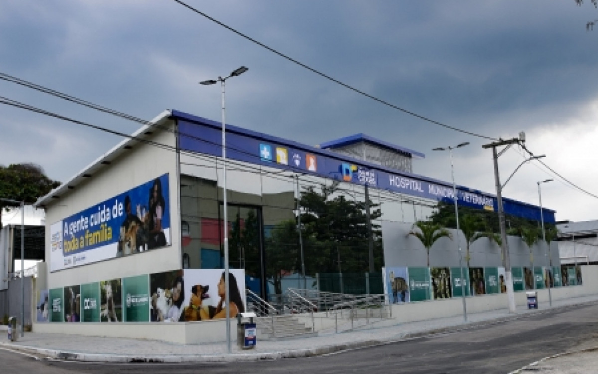 Hospital Veterinário de Caxias bate recorde de atendimentos - Divulgação