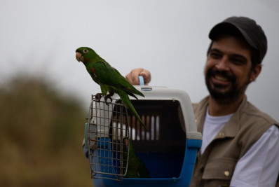 Zoológico Municipal reabilita e devolve 185 animais à natureza em um ano