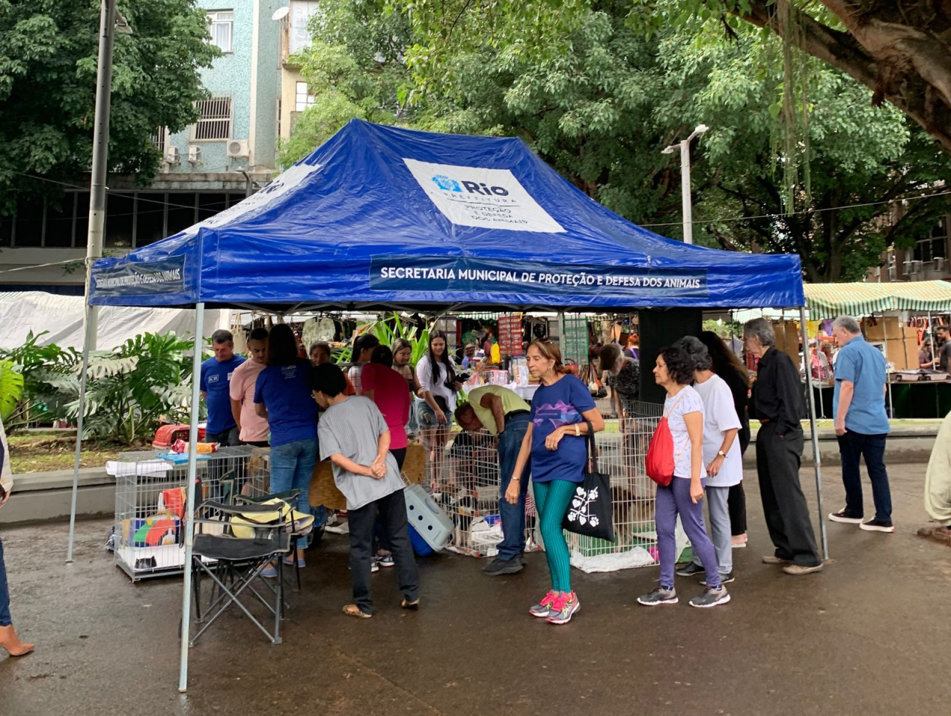 SMPDA realizou uma feira de adoção de animais na Praça Sáenz Peña - Divulgação / Prefeitura do Rio