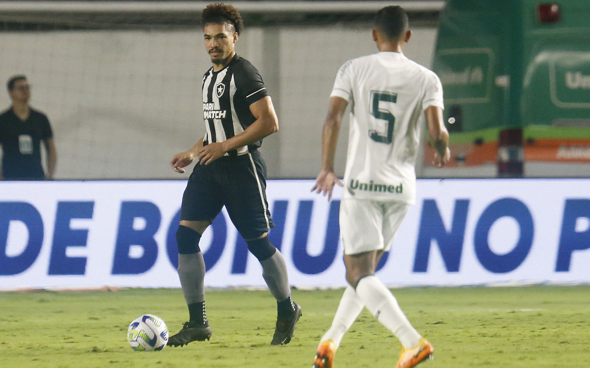 Botafogo perdeu invencibilidade na S&eacute;rie A