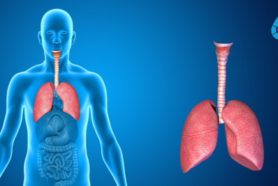 Câncer de pulmão, o mais letal no Brasil, causa a morte de Rita Lee