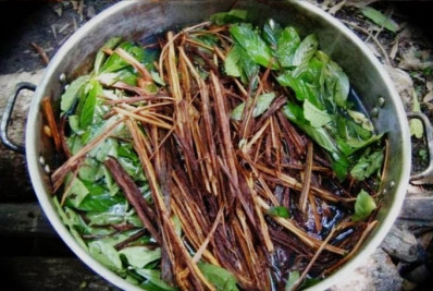 Mulher idosa morre de intoxicação em Maricá 