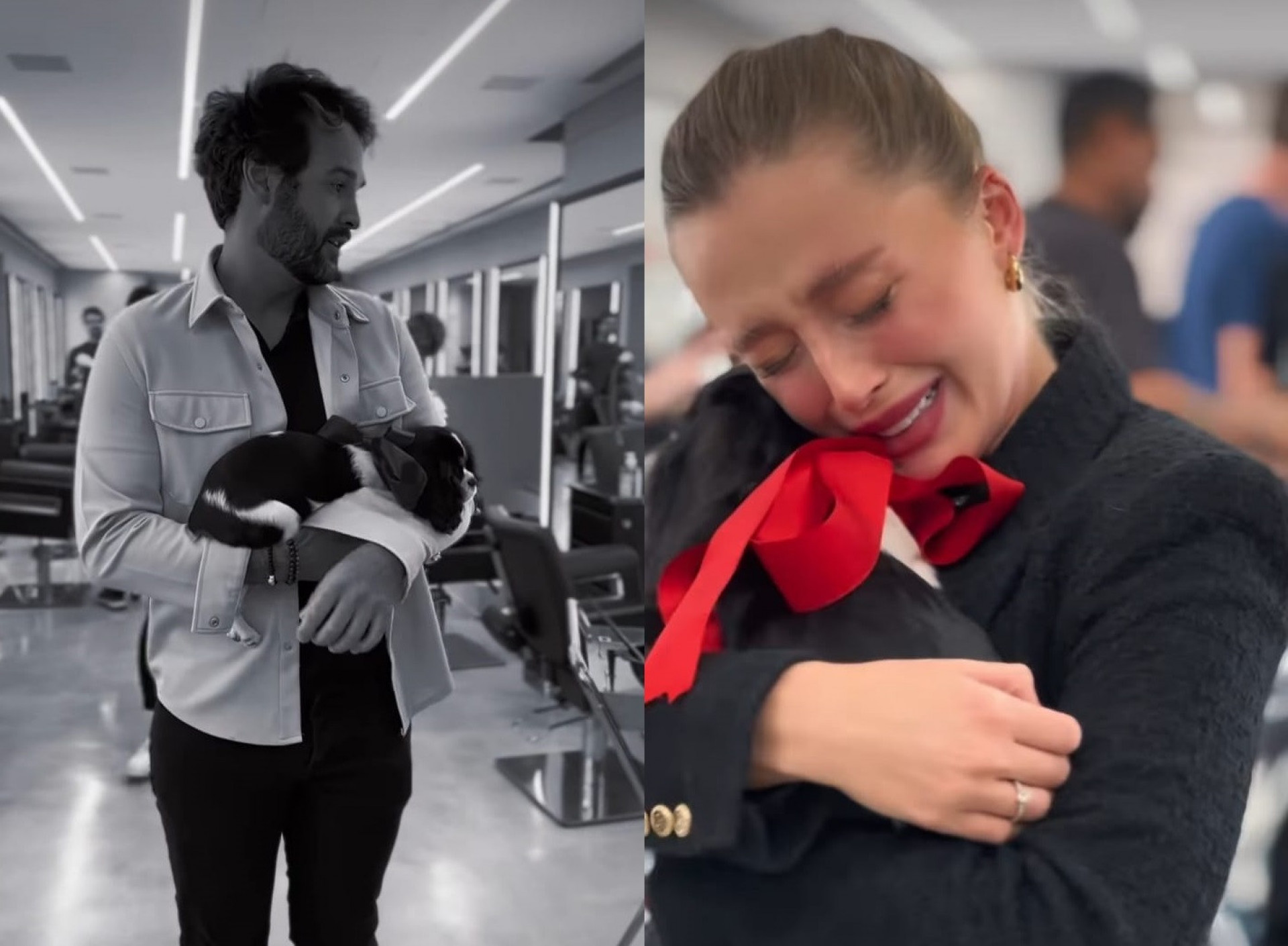 Duda Reis ganhou um cachorro de estima&ccedil;&atilde;o do noivo  - Reprodu&ccedil;&atilde;o de V&iacute;deo