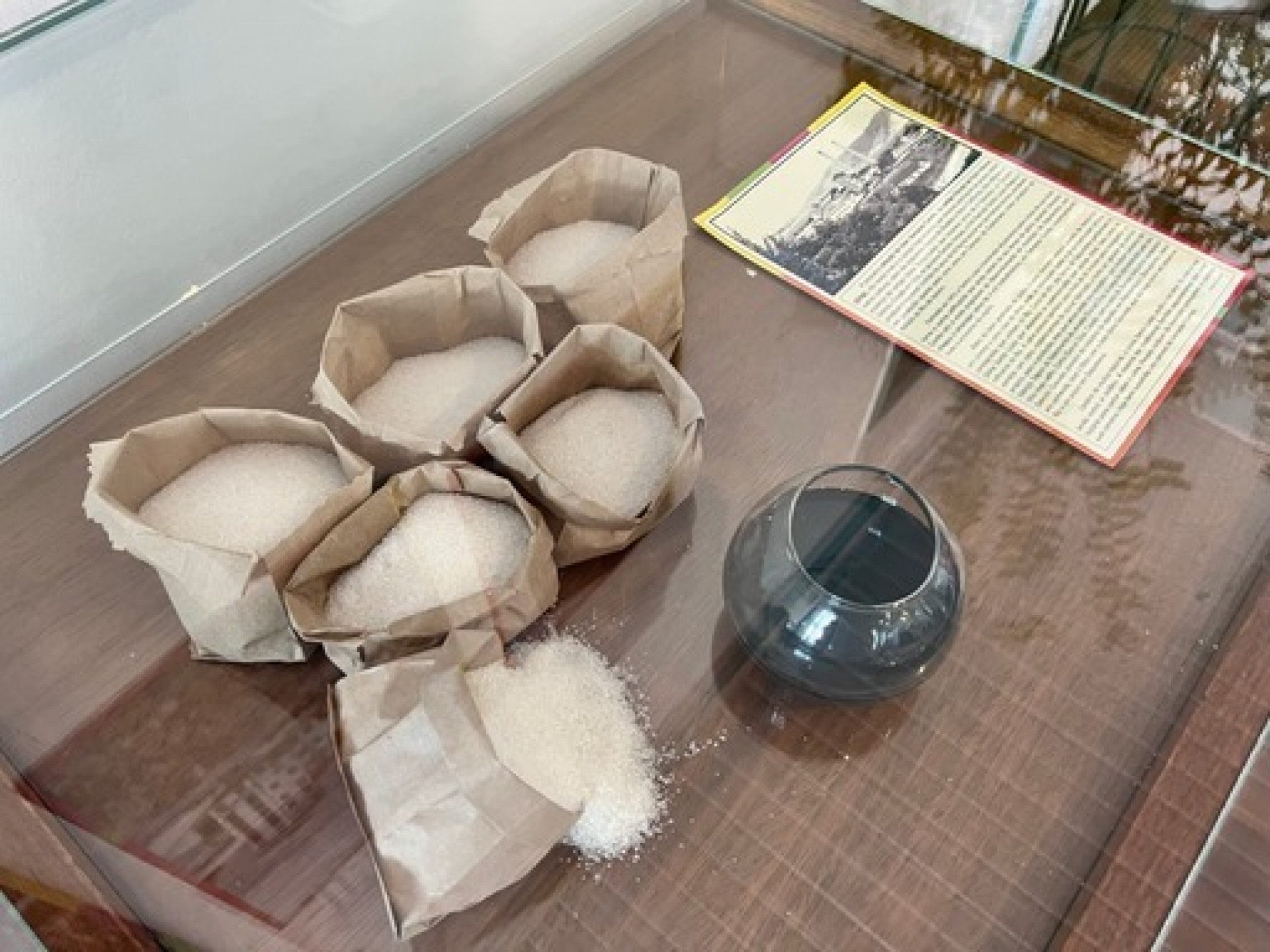 Prefeitura inaugura a exposição 