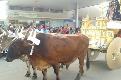 Festa dos Carros de Bois é destacada entre eventos do turismo religioso e chega a 61ª edição