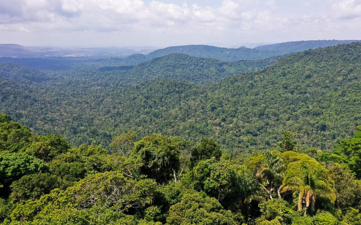 Floresta Amaz&ocirc;nica &eacute; a maior do mundo - Reprodu&ccedil;&atilde;o/TV Brasil