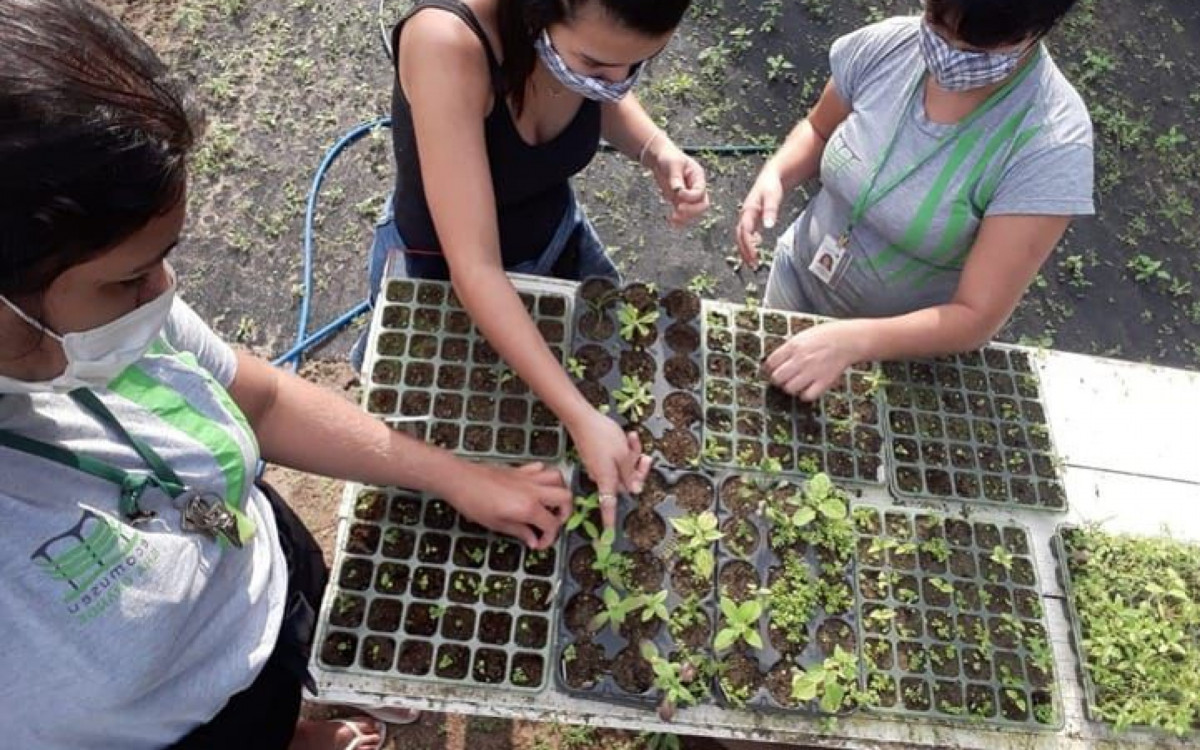 Atividade desenvolvida no Ecomuseu Ilha Grande