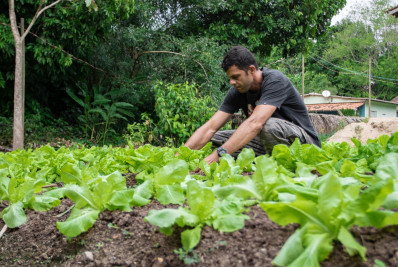 Produtos de hortifruti produzidos no estado do Rio ganham selo especial
