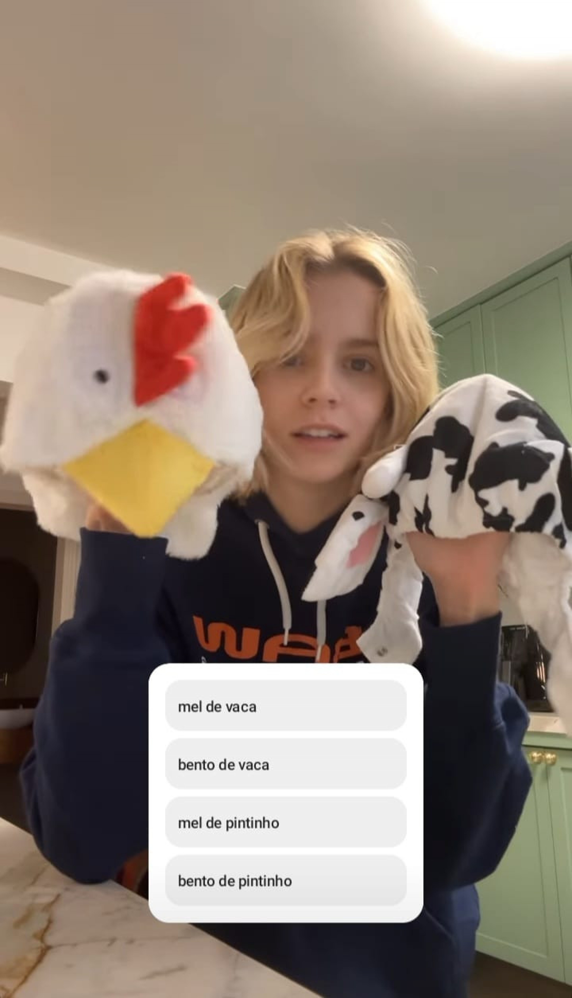 Isabella Scherer abriu enquete para escolher fantasia dos gêmeos  - Reprodução/Instagram