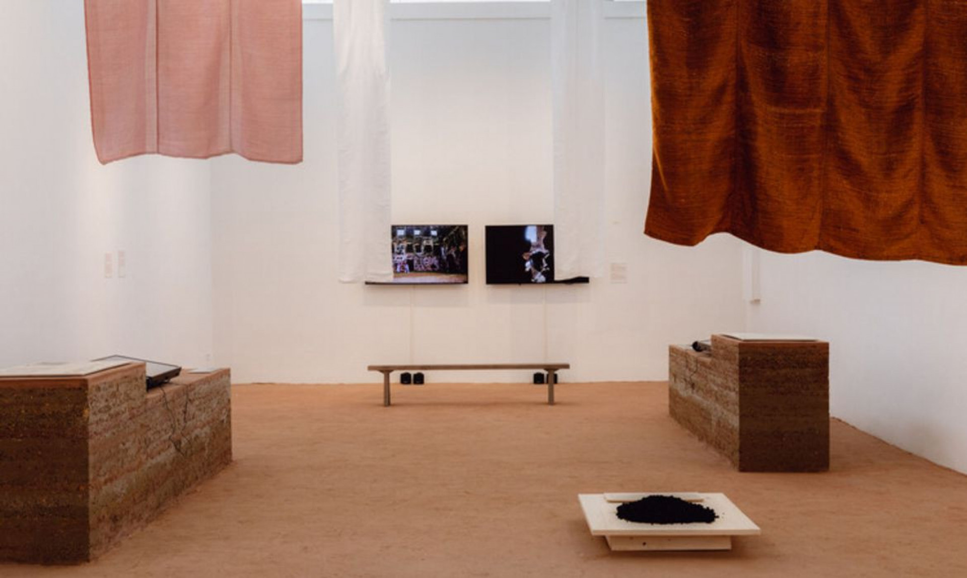 Exposição Terra vencedora do Leão de Ouro em Veneza - Lula Marques/ Agência Brasil