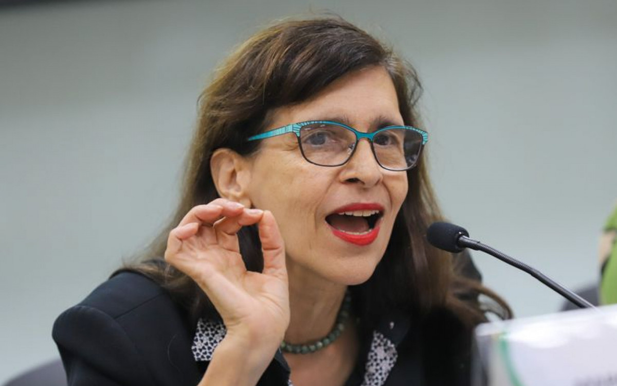 Luciana Santos diz que faz quest&atilde;o de conhecer as instala&ccedil;&otilde;es brasileiras na Ant&aacute;rtica