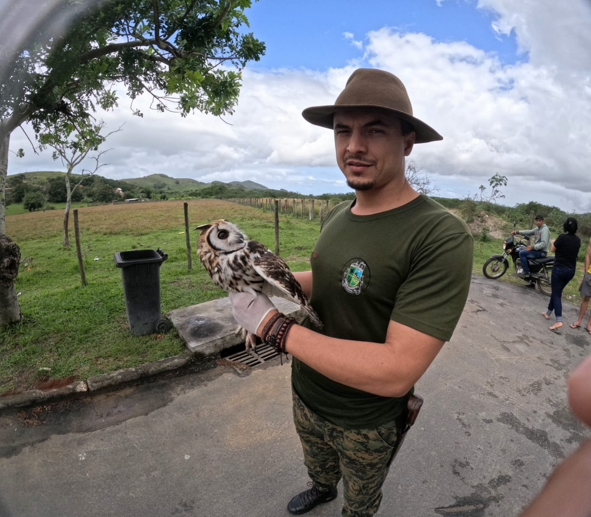 Guarda Ambiental de Saquarema resgatou coruja-orelhuda na última semana - Divulgação/Prefeitura de Saquarema