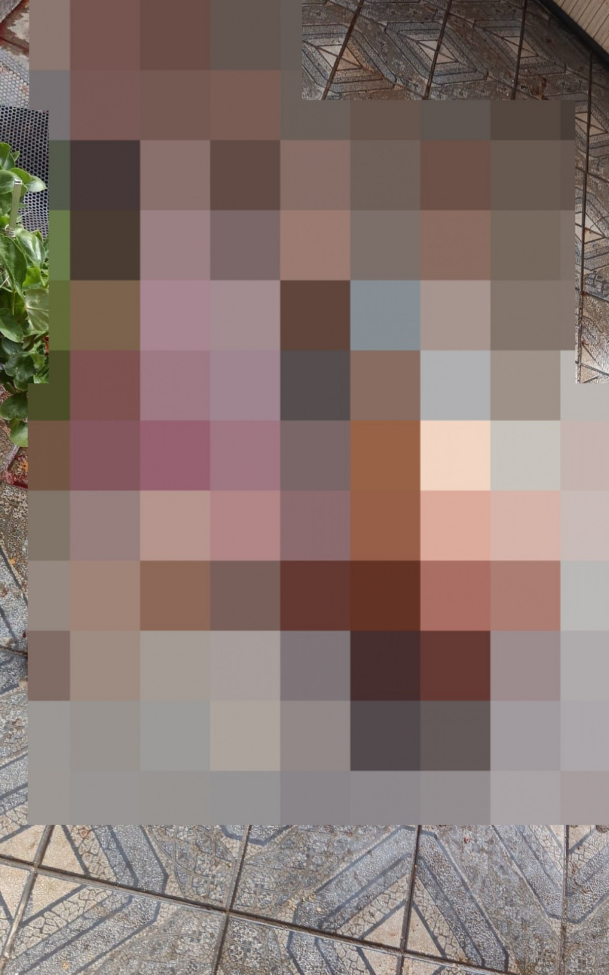 João dos Santos Ferreira foi atacado e morto pelo próprio cachorro - Reprodução / Redes sociais