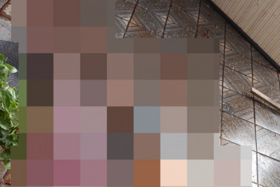 Homem é atacado e morto pelo próprio cachorro em Quintino