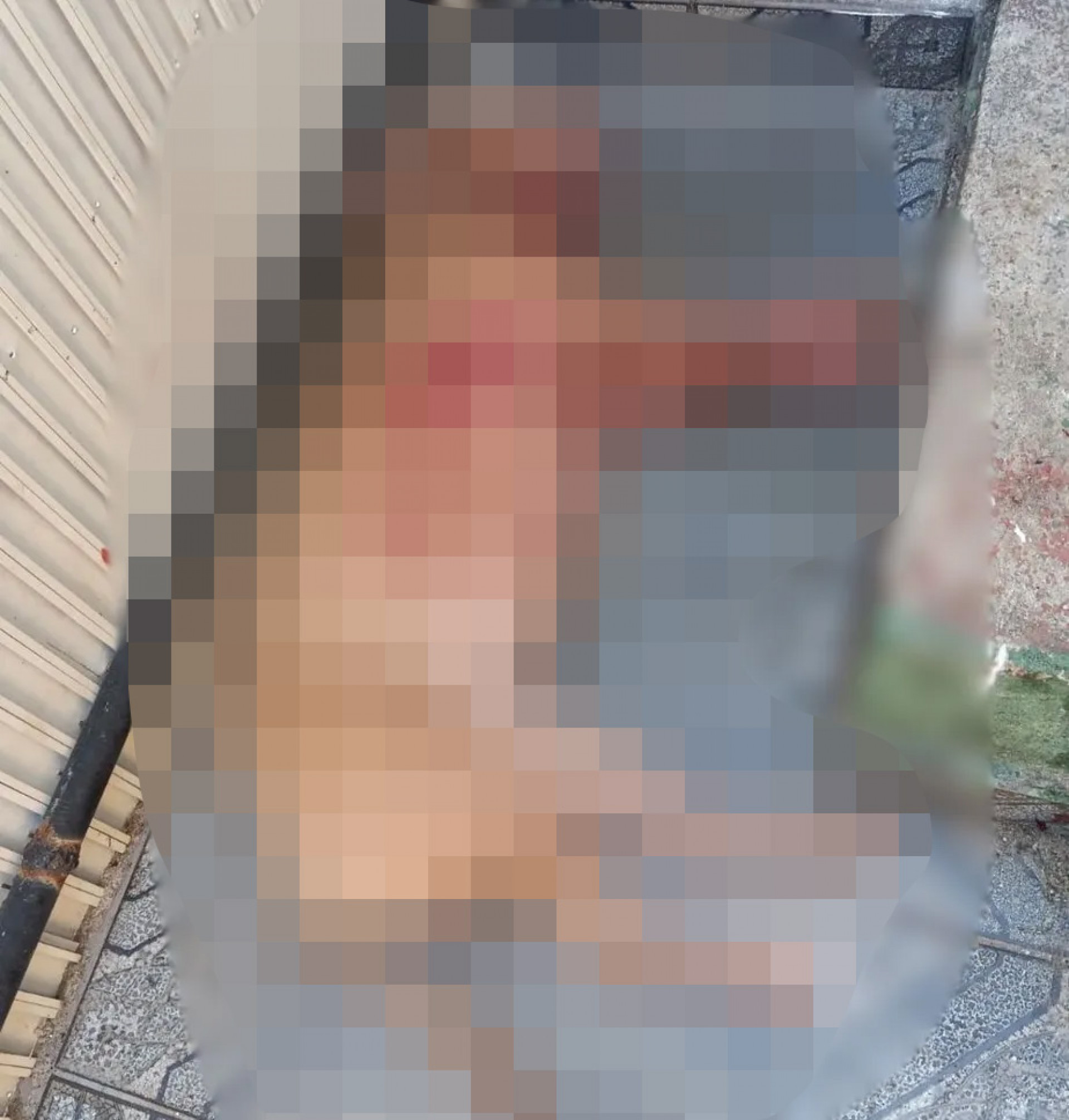 PMs mataram cachorro para poder acessar im&oacute;vel onde idoso foi encontrado morto