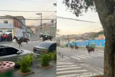 Cavalos escapam de policiais e fogem pela Zona Leste de SP