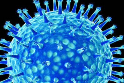 Rio registra mais um caso de ave silvestre com Gripe Aviária