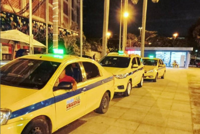 Projeto de lei pretende criar selo 'Taxista Pet Friendly'