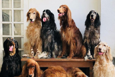 Advogado da família de Jeff Machado aponta que ator morreu no fim de janeiro