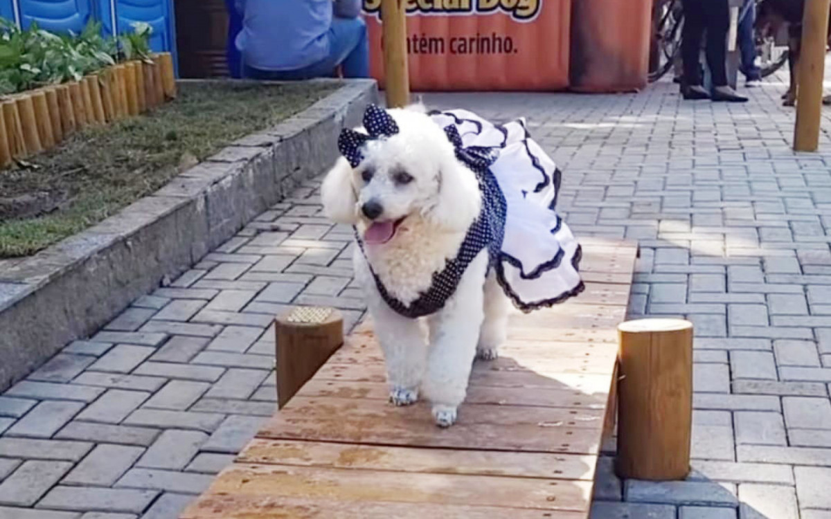 O Parque Pet é um espaço de lazer