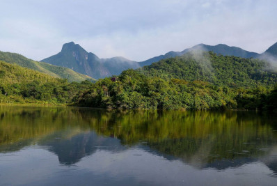 Ministro do STF pede manifestação de Lira sobre MP da Mata Atlântica