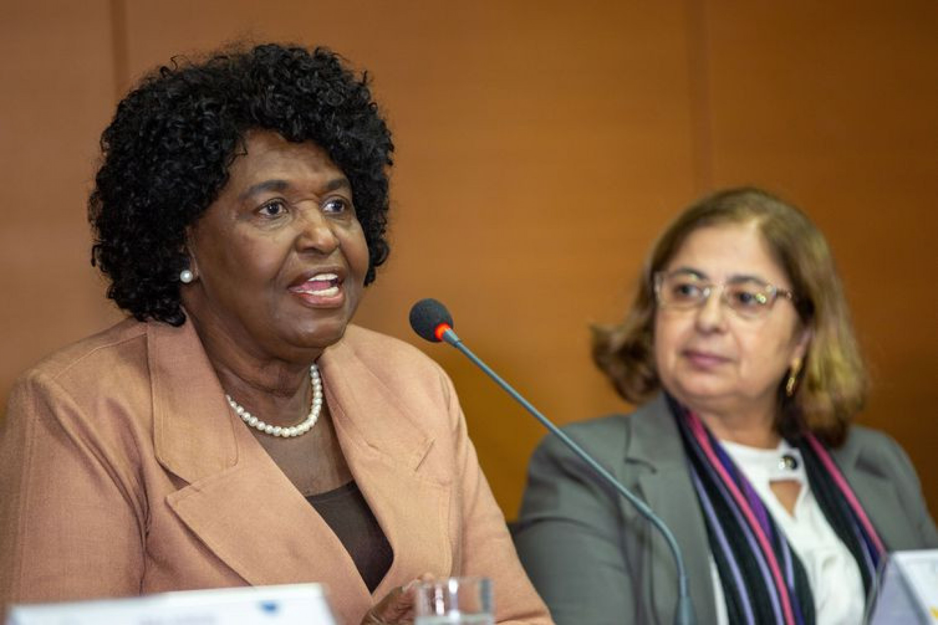 Benedita da Silva e Cida Gon&ccedil;alves participam da abertura oficial das atividades do CNDM - Fabio Rodrigues-Pozzebom/ Ag&ecirc;ncia Brasil