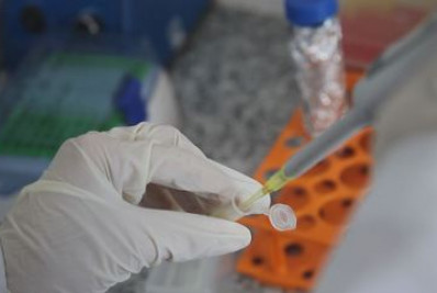 Vacina brasileira contra dependência em crack e cocaína é finalista de prêmio internacional