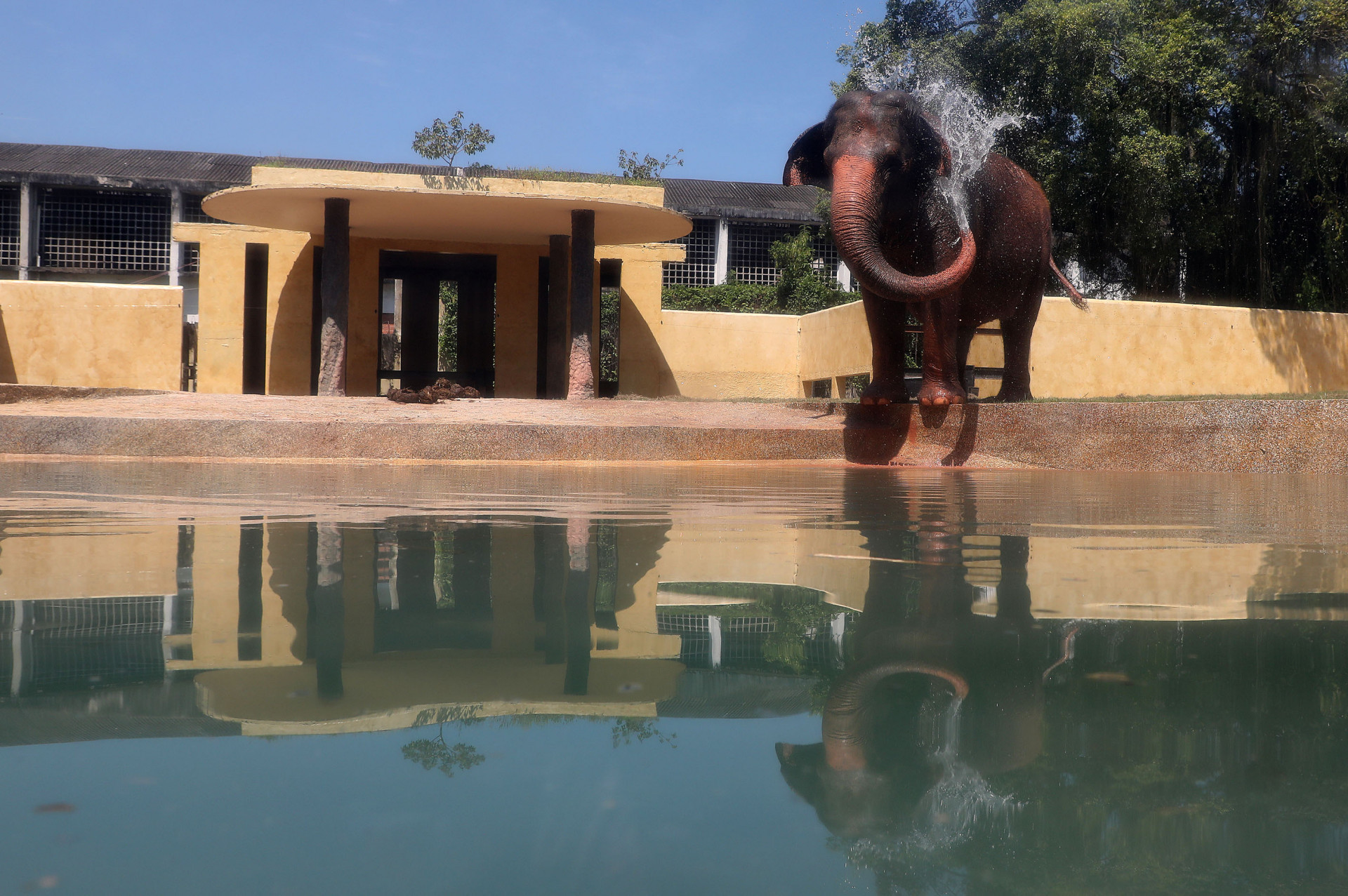 BioParque do Rio é uma das opções para a criançada  -  