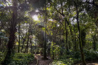 Barra Mansa promove Semana do Meio Ambiente