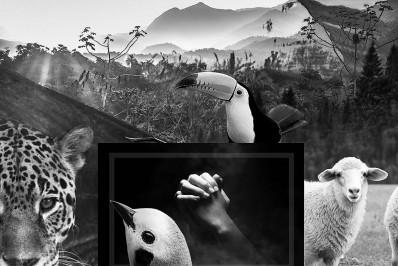 Padre Omar: Colaboradores da criação