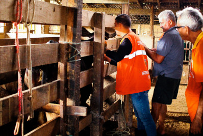 Belford Roxo: Secretaria de Saúde realiza vacinação contra Febre Aftosa