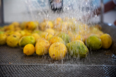 Educação de Mesquita abre chamada pública para aquisição de gêneros alimentícios da Agricultura Familiar