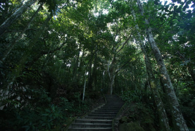 No Dia Mundial do Meio Ambiente, especialistas alertam para importância da preservação
