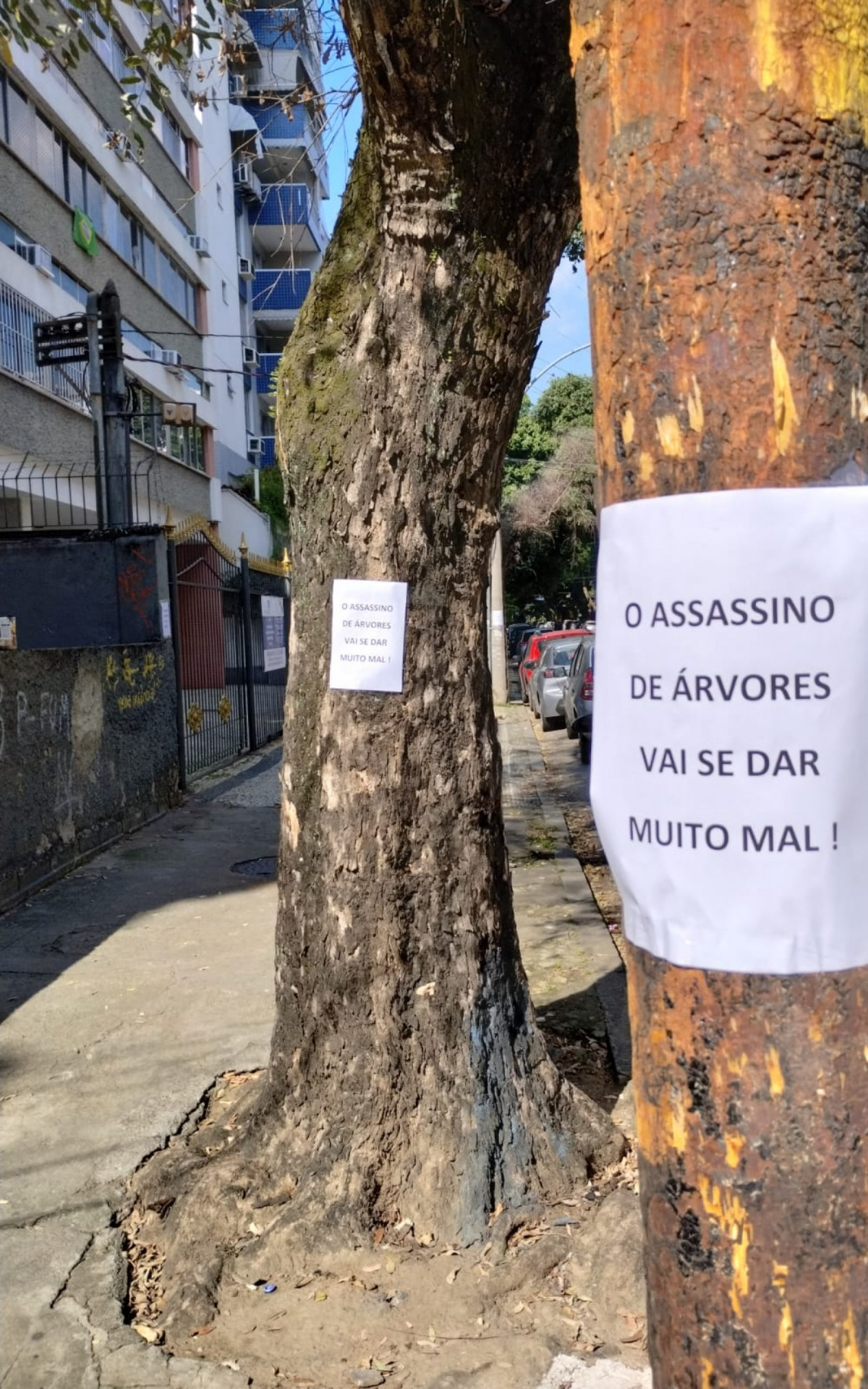 Cartaz colocado nas &aacute;rvores envenenadas da Rua Afonso Pena, na Tijuca - Foto: Max Leone