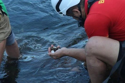 Cataratas do Iguaçu: parque retira 158 quilos de moedas em ação de limpeza do rio