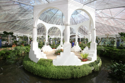 Orquídeas que florescem no outono são atrações no Jardim Botânico