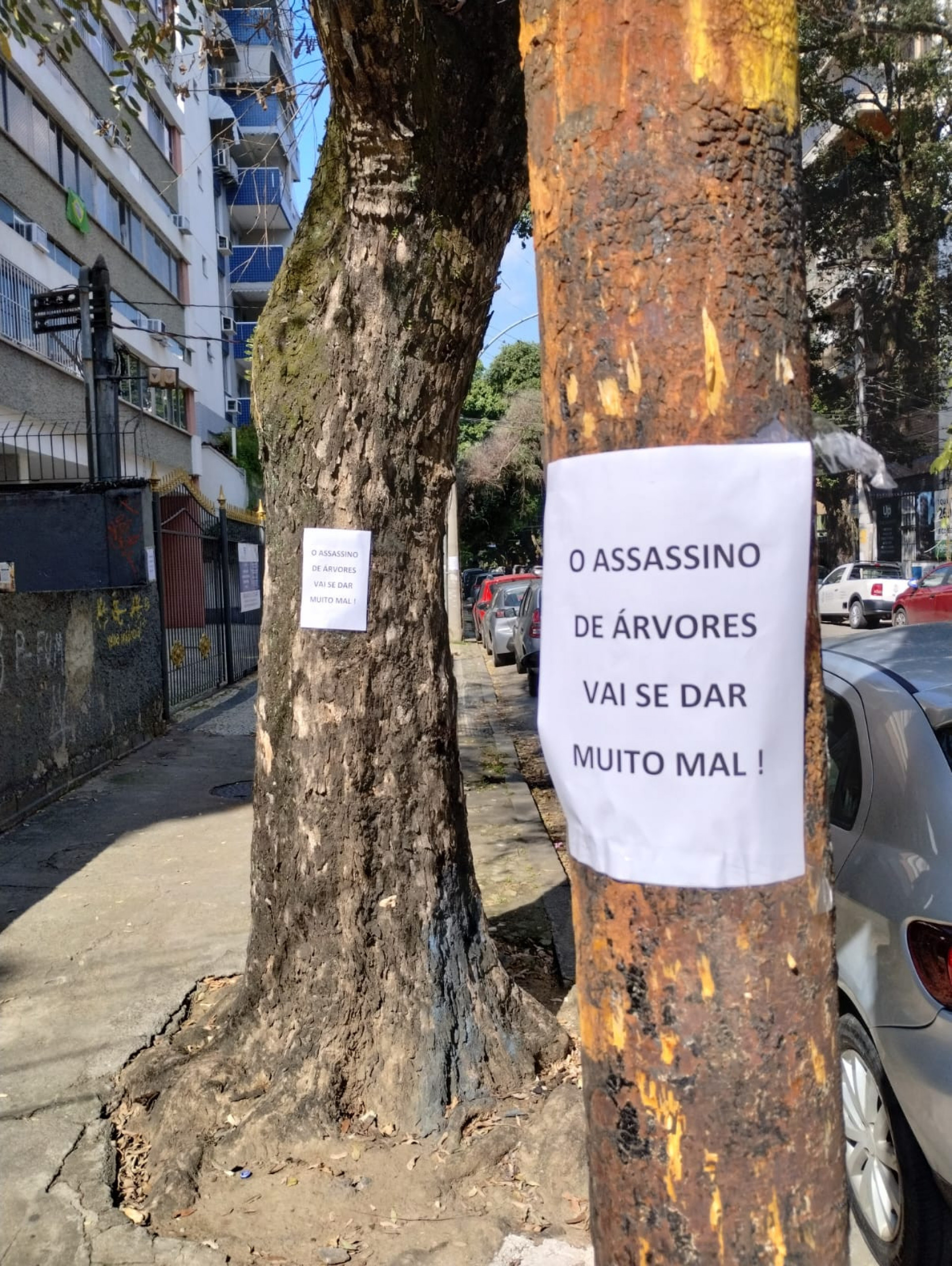 Cartaz colocado nas &aacute;rvores envenenadas da Rua Afonso Pena, na Tijuca