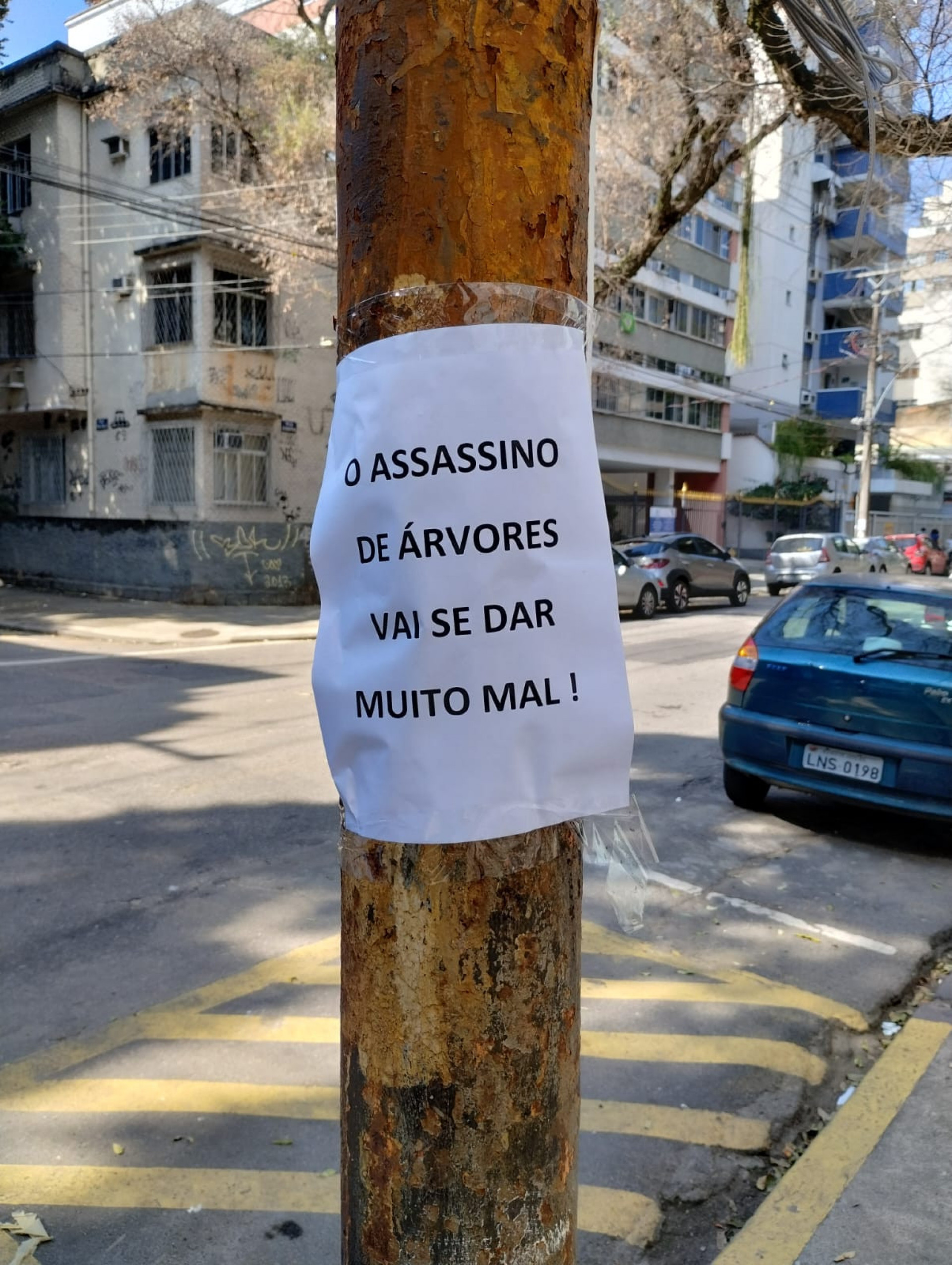 Cartaz colocado nas &aacute;rvores envenenadas da Rua Afonso Pena, na Tijuca