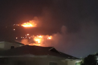 Incêndio atinge área de mata em Campo Grande