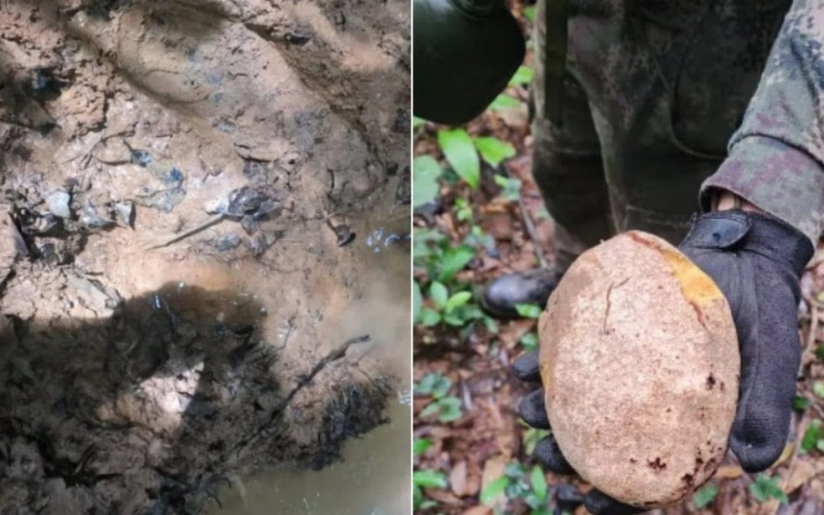 Polícia encontrou objetos que pertenciam às crianças que desapareceram após acidente de avião