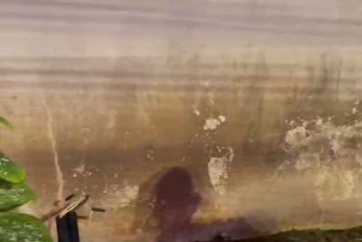 PM apreende Fuzil na Caputera