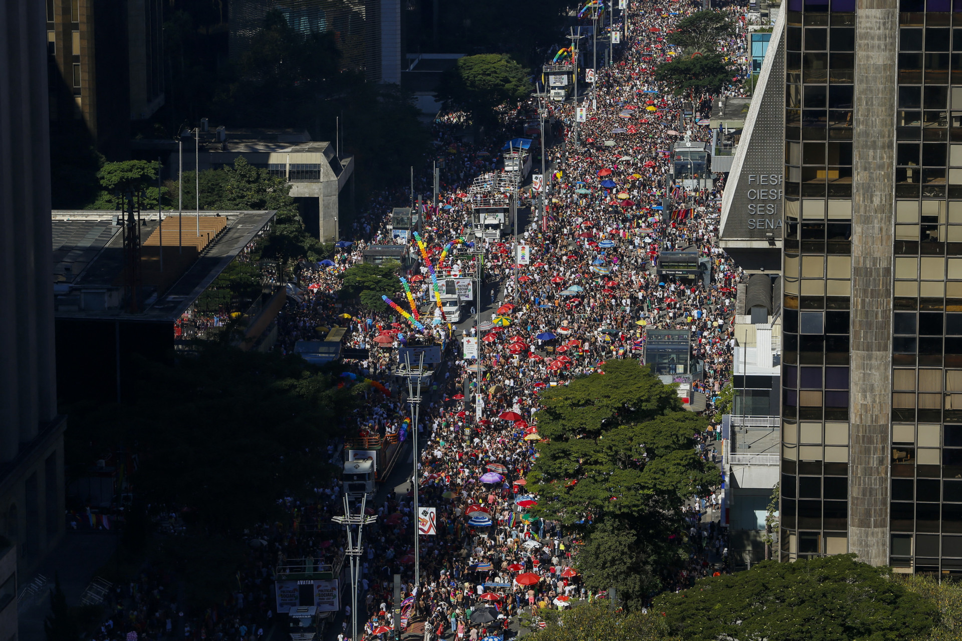  27ª Parada do Orgulho LGBT+ acontece neste domingo na Avenida Paulista, em São Paulo - AFP