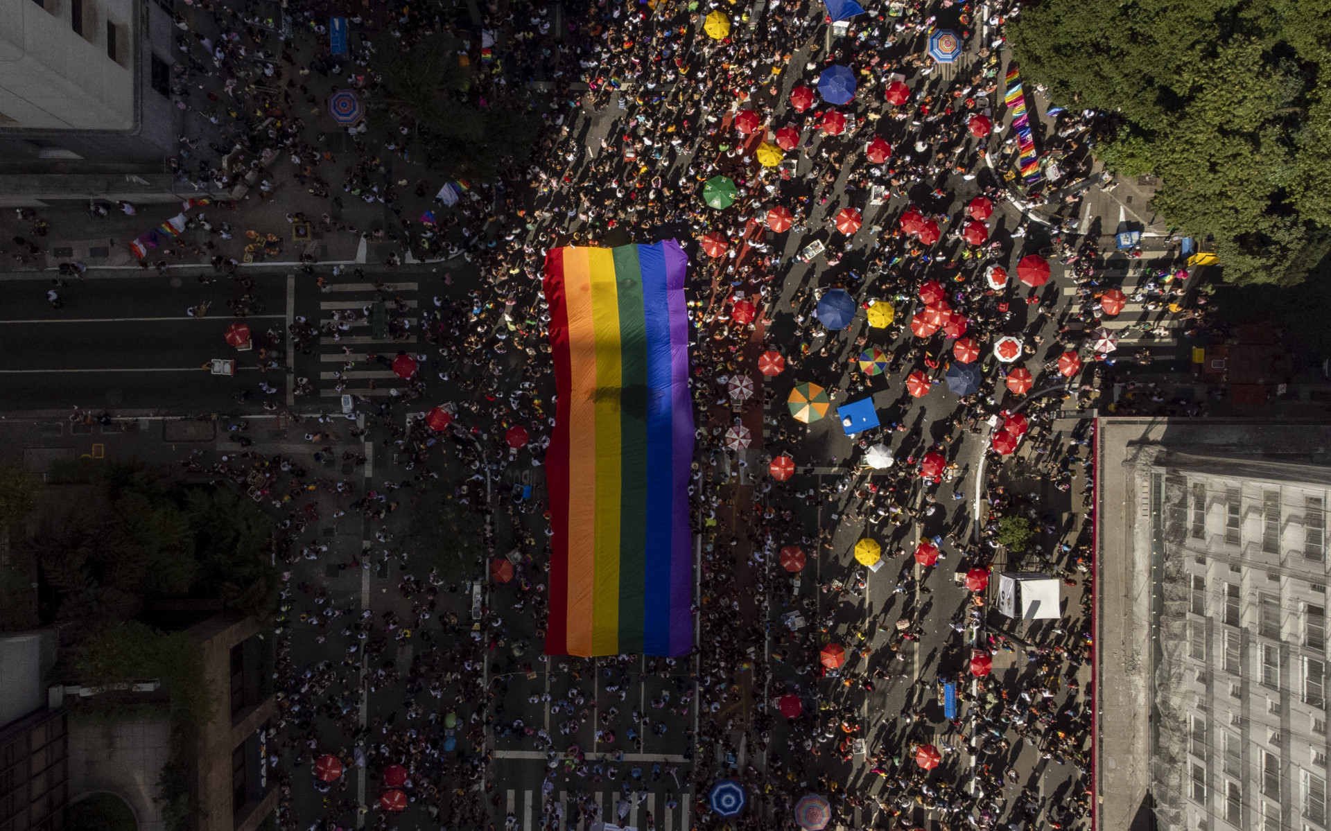  27ª Parada do Orgulho LGBT+ acontece neste domingo na Avenida Paulista, em São Paulo - AFP
