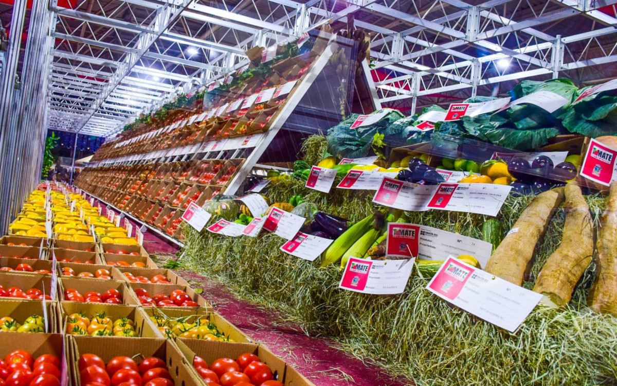 Penúltima noite da Festa do Tomate repetiu sucesso