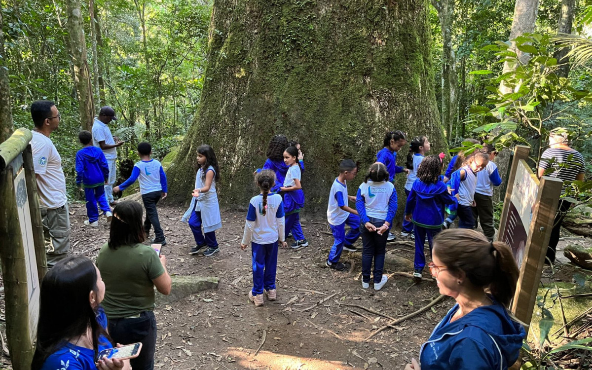 Estudantes conhecem a milenar árvore de Jequitibá no Parque Estadual dos Três Picos - Foto: PETP - Imagem cedida ao DIA
