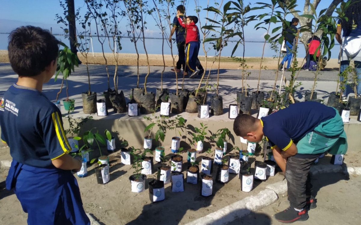 Blitz ecol&oacute;gica no Centro de Araruama