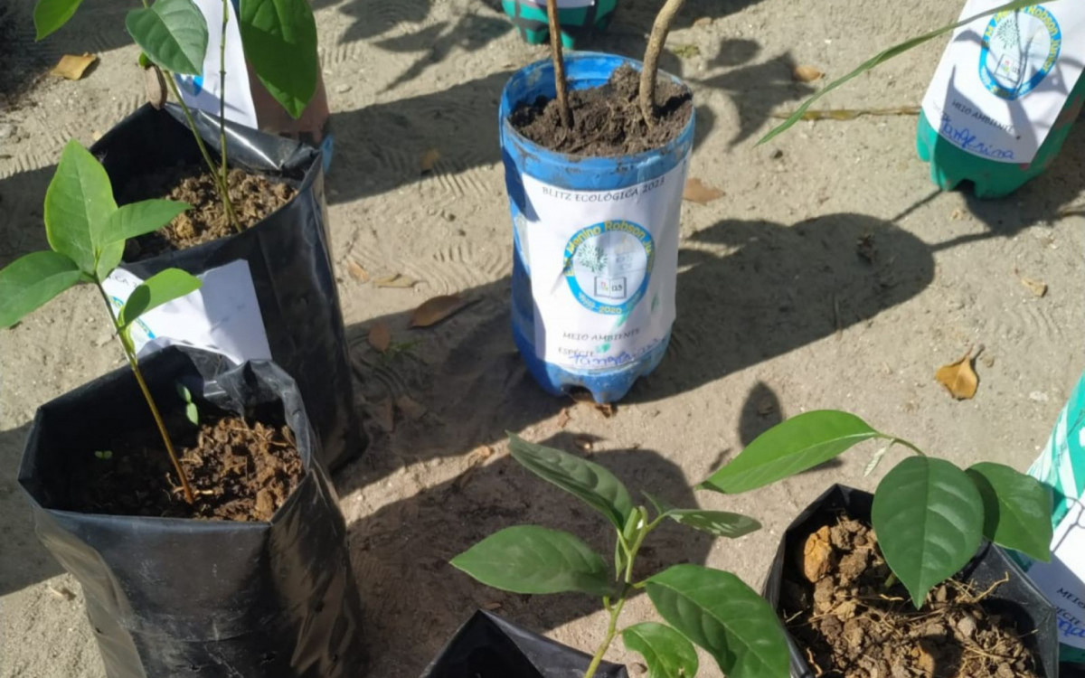 Blitz ecol&oacute;gica no Centro de Araruama