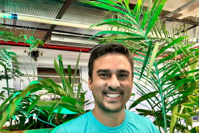 Allan Borges: Paisagens urbanas: favelas e Mata Atlântica