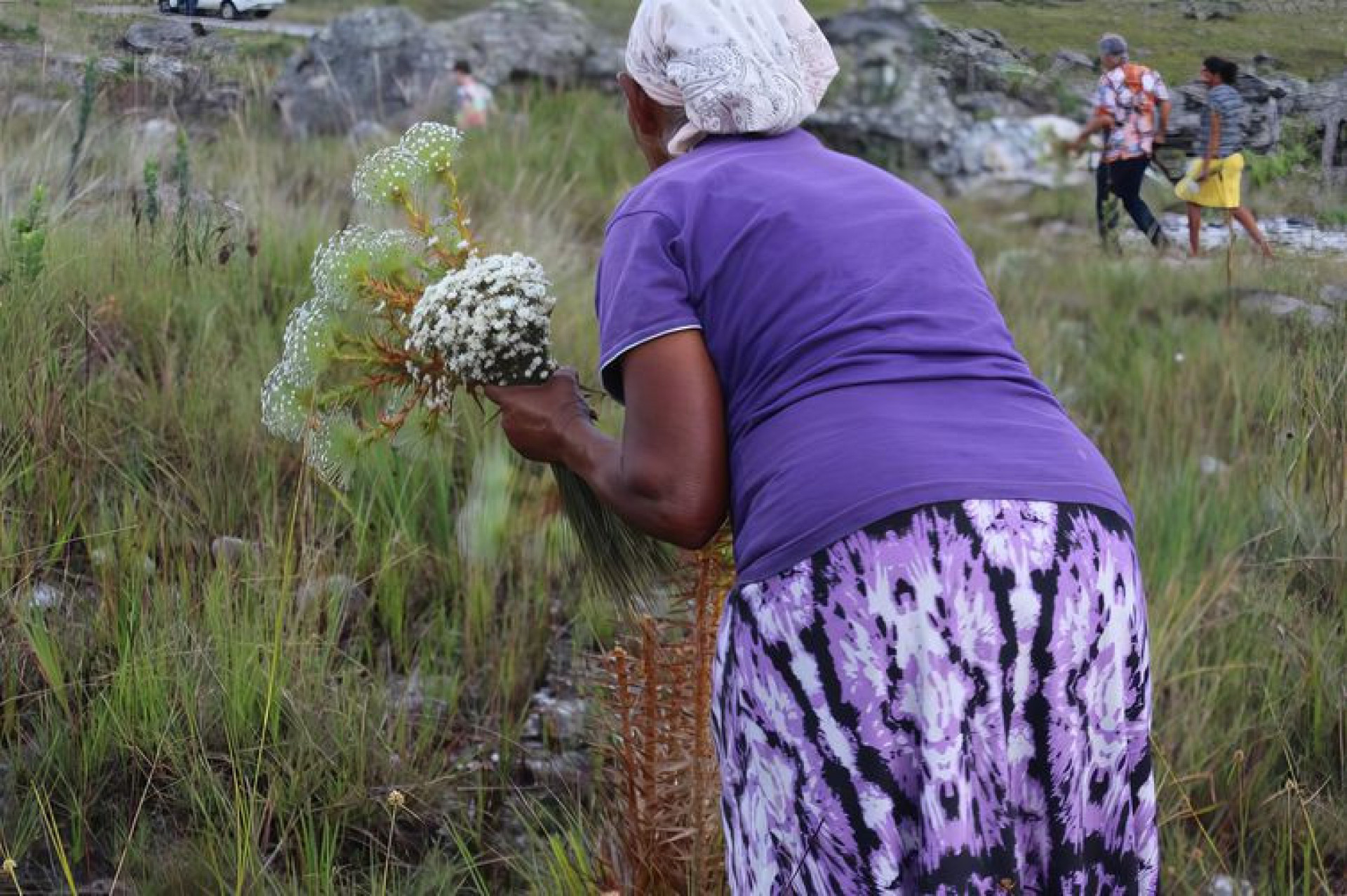 Medida valoriza práticas que englobam técnicas ancestrais de manejo do meio ambiente - Acervo Lepha