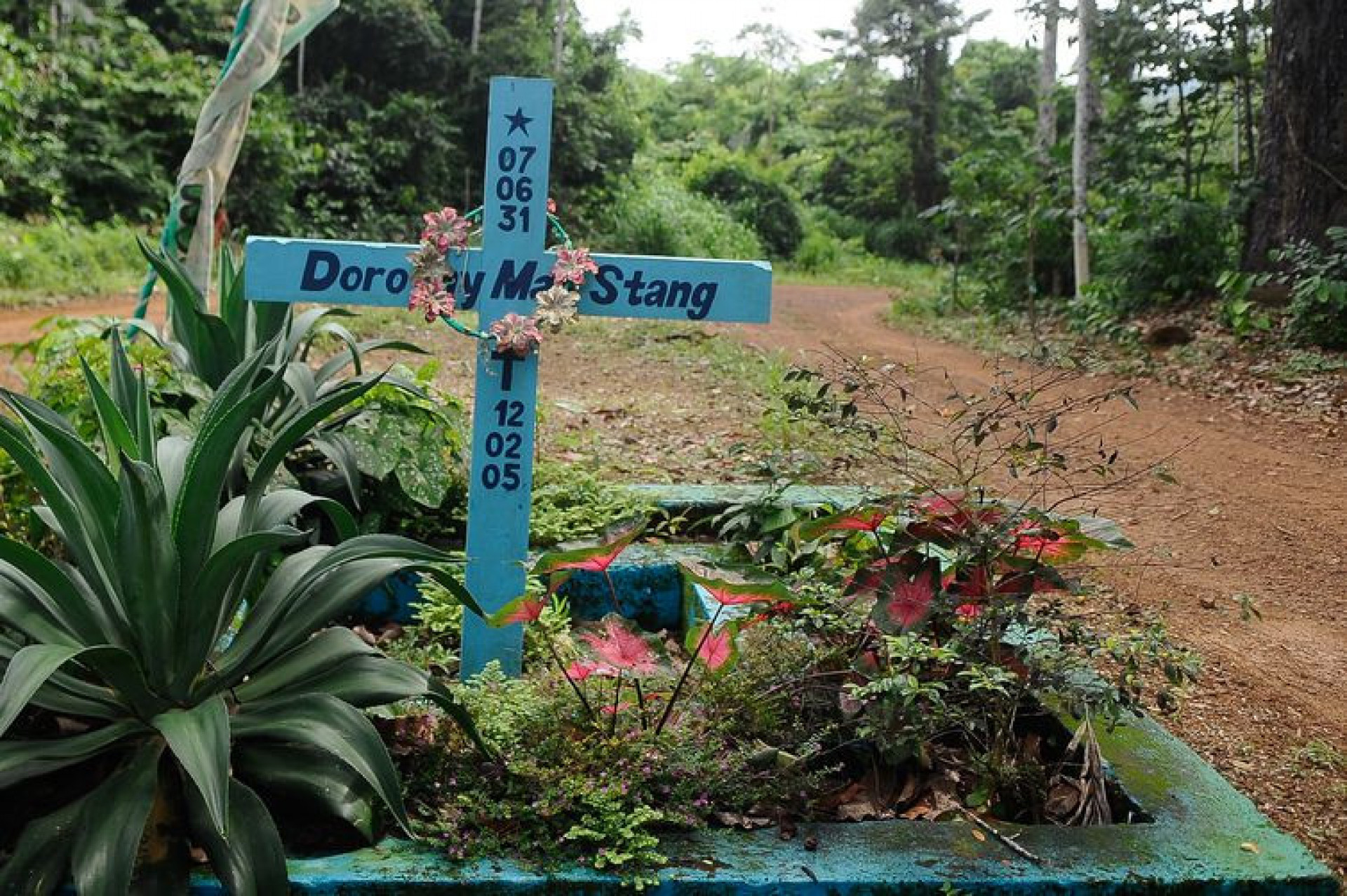 Na foto, placa em homenagem a Dorothy no local onde a missionária foi assassinada  - Tomaz Silva/Agência Brasil